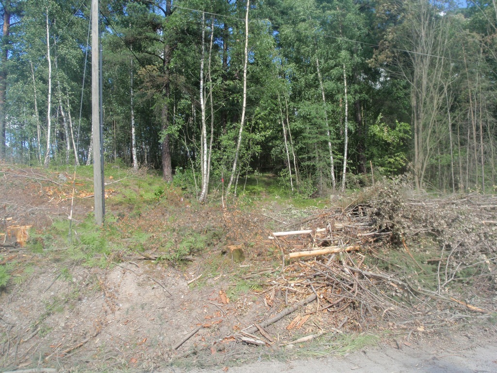 P7160116 hiner mot andra sidan.JPG